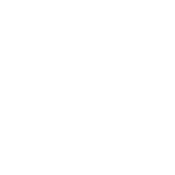 Inicio 6 Producción de Aceite de Oliva