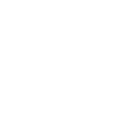 Inicio 7 Huevos de Gallina de Campo