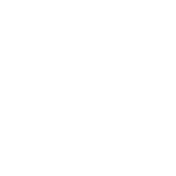 Inicio 8 Productos Lácteos Caseros